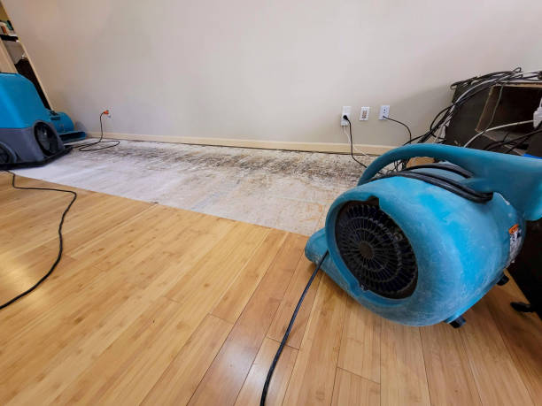 Professional Sewage Cleanup technician working in Bellbrook, OH